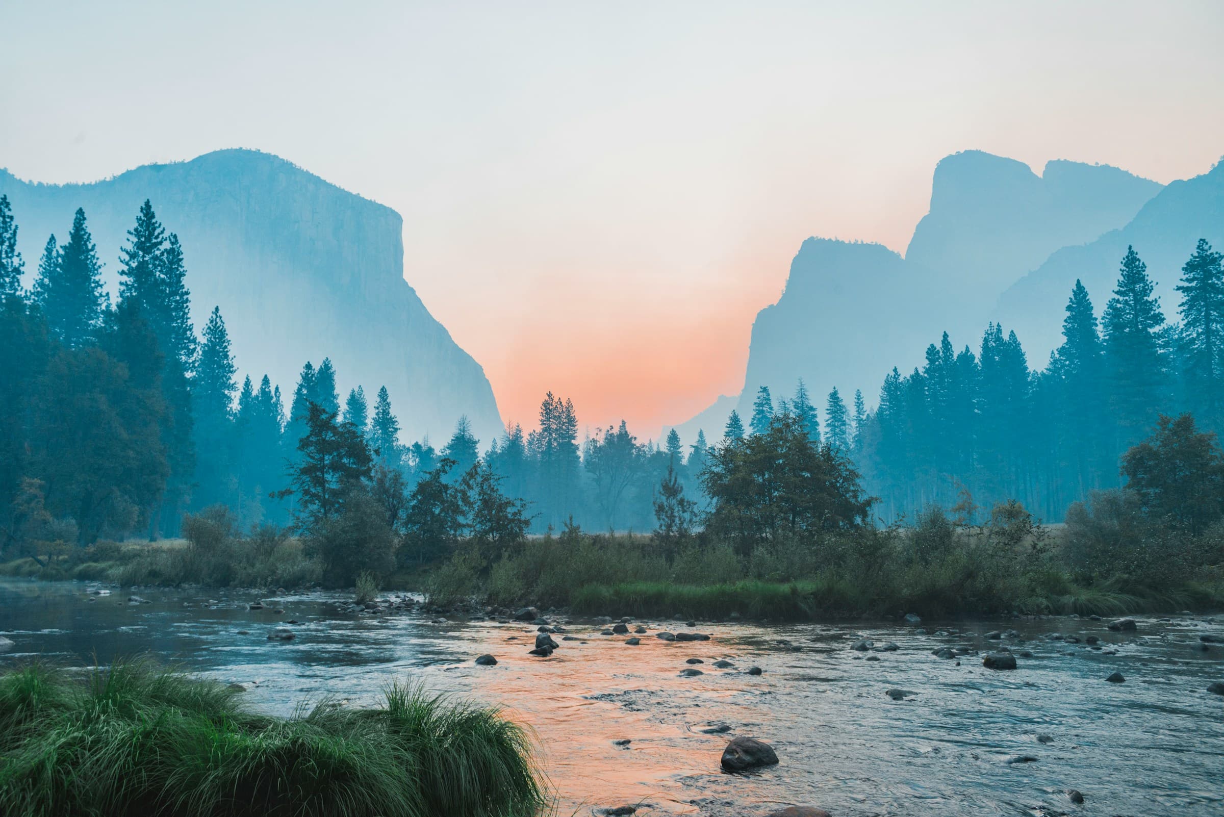 Lake surrounded by trees. Photo by Bailey Zindel on Unsplash